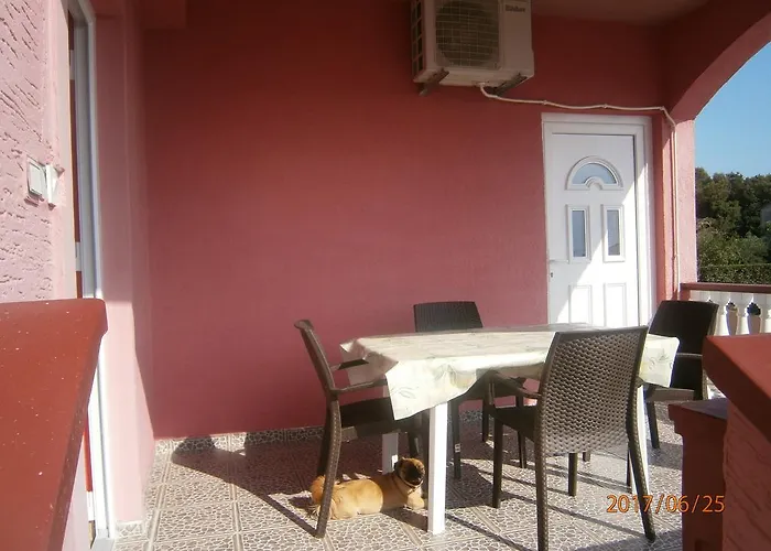 Drago 돈제페트레케인